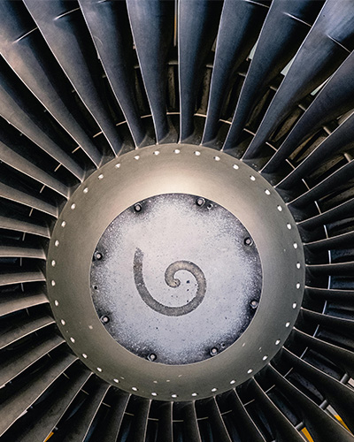 Turbine engine fan blades close-up